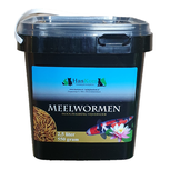 Premium meelwormen 2,5 liter Premium meelwormen 2,5 liter