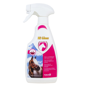 Hi Gloss Spray 500 ml Hi Gloss Spray 500 ml