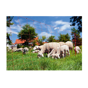 AKO Schapennet 90cm x 50 mtr Dubbele Pen AKO Schapennet 90cm x 50 mtr Dubbele Pen