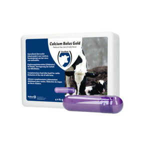 HSK Calcium bolus gold 4 stuks HSK Calcium bolus gold 4 stuks