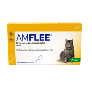 Amflee spot-on kat Amflee spot-on kat