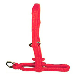 Koehalster / koetouw nylon oranje Koehalster / koetouw nylon oranje