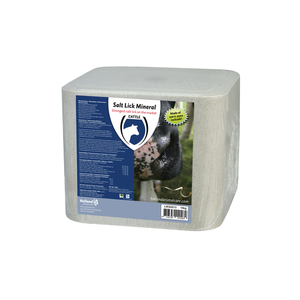 Liksteen Naturel 10 kg Liksteen Naturel 10 kg